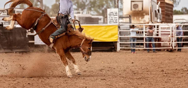 Cowboy Rider Vagga Sadel Bronc Ett Land Rodeo Australien — Stockfoto
