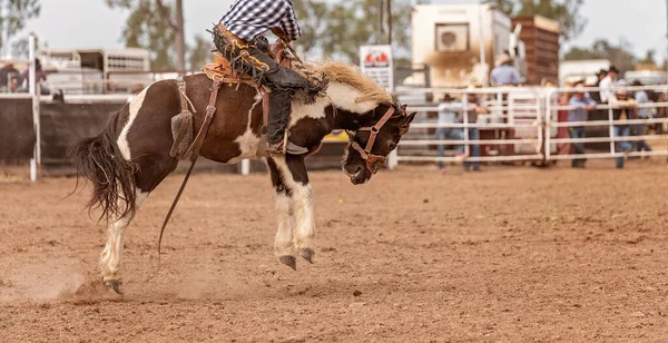 Kowboj Jeżdżący Bucking Siodle Bronc Country Rodeo Australia — Zdjęcie stockowe