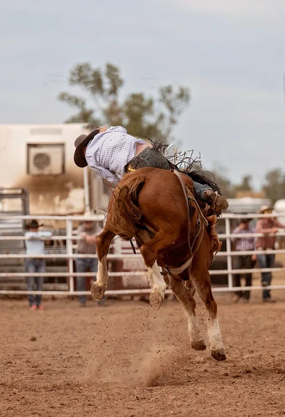 Vaquero Montando Una Silla Montar Troncal Bronc País Rodeo Australia —  Fotos de Stock