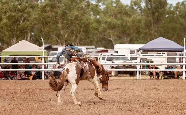 Cowboy Riding Bucking Saddle Bronc Country Rodeo Australia — Stock Photo, Image