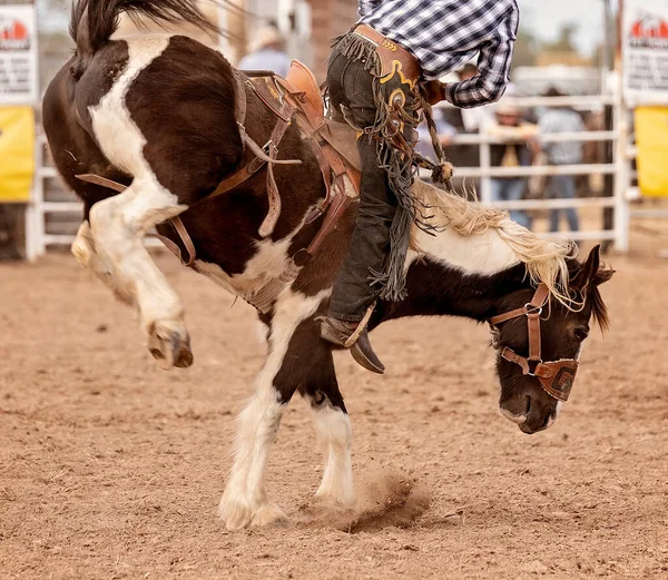 Kovboj Vzpínajícím Sedle Bronk Zemi Rodeo Austrálie — Stock fotografie