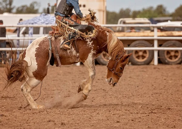 Cowboy Rijden Een Bucking Zadel Bronc Een Land Rodeo Australië — Stockfoto