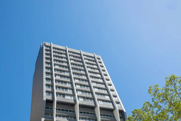 stock image Brisbane, Queensland, Australia - November 2022: A modern office building towering high against a blue sky.