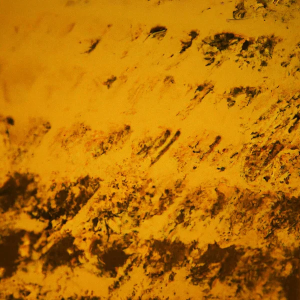 Painted Yellow Orange Texture Backdrop Illustration Wallpaper Has Multiple Digital — Stock Photo, Image