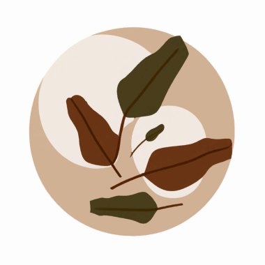 Zarif, sessiz renk paleti olan modaya uygun grafik çizimi. Minimilistik Boho çiçek tarzı..