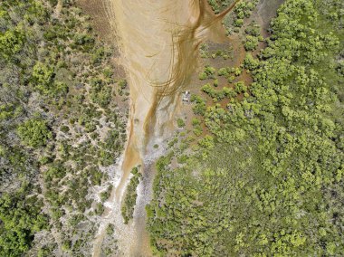 Kumsal mangrovlarının drone görüntüsü