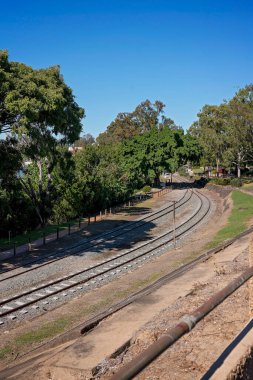 Demiryolu ile ayrılmış botanik bahçeleri