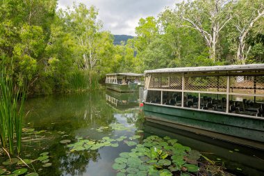 Tourist boats at a reptile park clipart