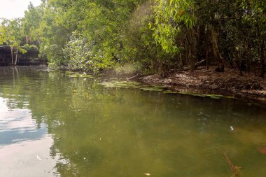 Nehir manzaralı bir manzara