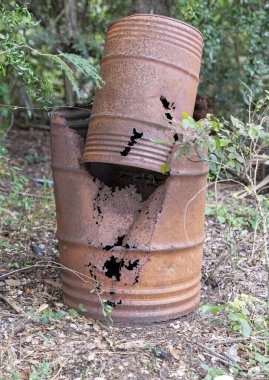 Terk edilmiş variller çalılıklarda aşırı derecede çürüdüğünü gösteriyor.