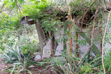 Bina, çöküntü ve çürüme belirtileriyle yeşilliğin altında zar zor görünüyor..