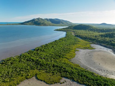 Durgun su ve yoğun yeşil tepe örtüsüyle tropik sulak arazi kenarı