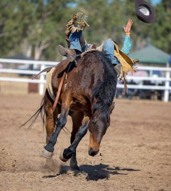 Kovboy onun trenden bucking ata eyersiz bronc olay bir ülke Rodeo düşen ve şapkasını kaybeder.