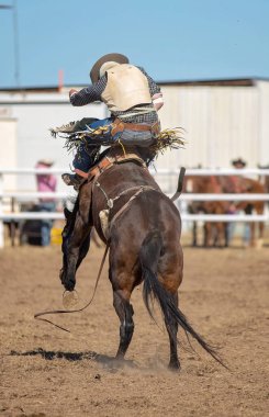 Kovboy bir rodeoda eyersiz vahşi at yarışına katılır.