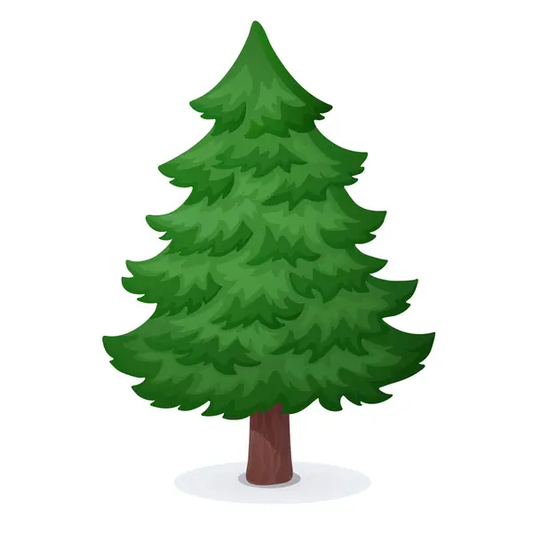 Evergreen Träd Isolerad Vit Bakgrund Tecknad Illustration Gran Träd Julgran — Stock vektor