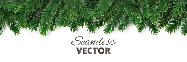 圣诞树无缝的边界被白色隔开了 常绿树分枝 杉树的喜庆框架 现实的矢量 假日头头 新年横幅 冬季派对海报 — 图库矢量图片