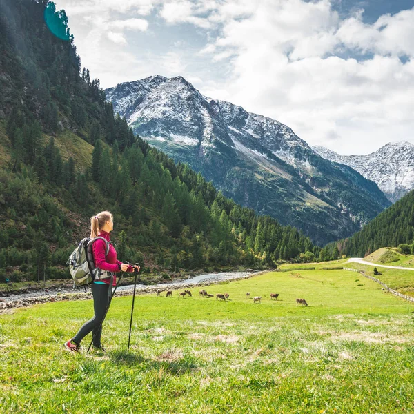 Young Woman Backpack Hiking Mountains Alps — Stock Photo, Image