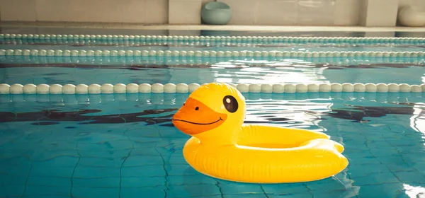 Empty Indoor Swimming Pool Swim Lanes Duck Rubber Ring — Stockfoto