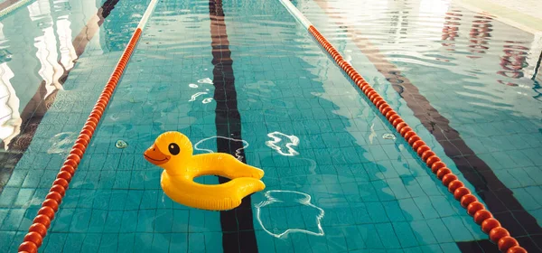 Empty Indoor swimming pool with swim lanes and Duck rubber ring