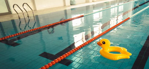 Empty Indoor swimming pool with swim lanes and Duck rubber ring