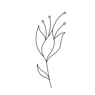 Güzellik çiçekçisi vektör ikonu tasarımı