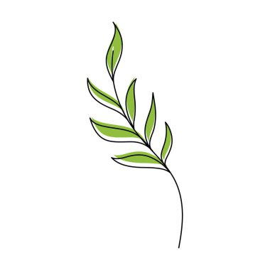 Güzellik çiçekçisi vektör ikonu tasarımı