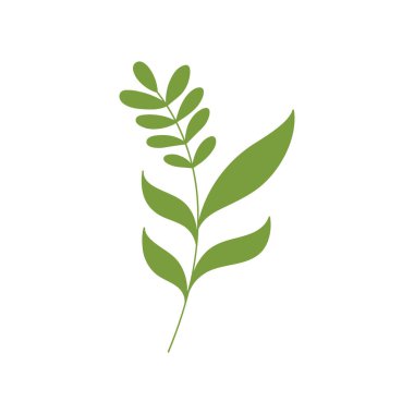 Güzellik çiçekçisi vektör ikonu tasarımı