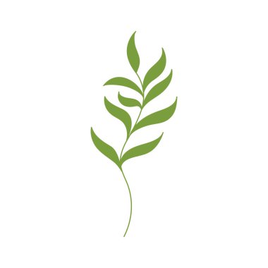 Güzellik çiçekçisi vektör ikonu tasarımı