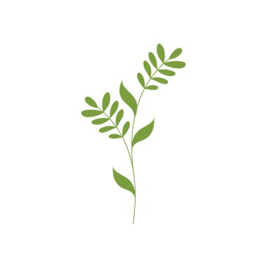 Güzellik çiçekçisi vektör ikonu tasarımı