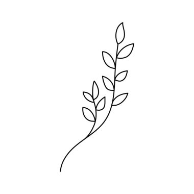 Güzellik çiçekçisi vektör ikonu tasarımı