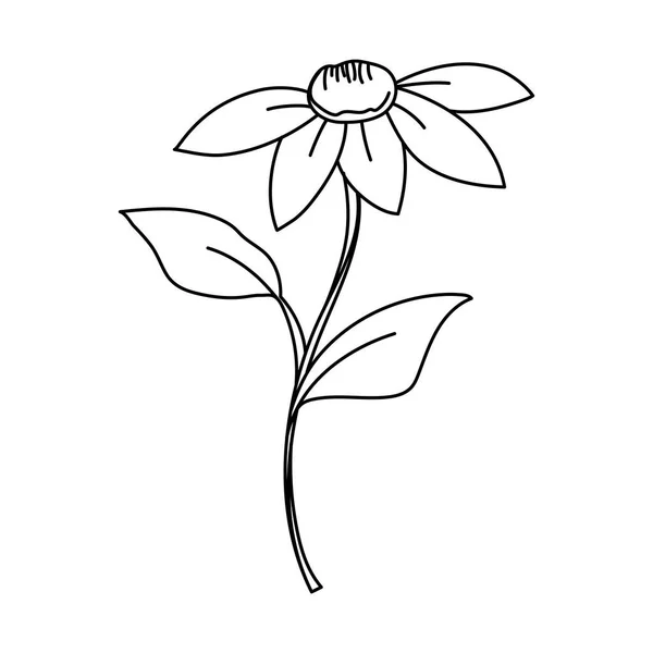 Beauté Fleuriste Vecteur Icône Design — Image vectorielle