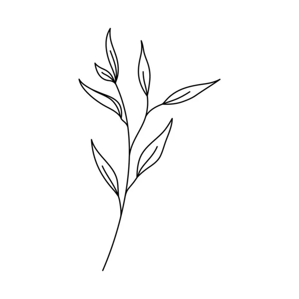 Návrhy Ikon Květinářství Krásy — Stockový vektor