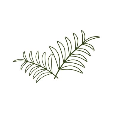 Yaprak Palmiye yağı tasarım şablonu