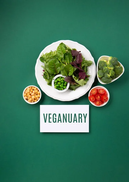 Vegetarische Veganistische Dieet Maand Januari Genaamd Veganuary Verscheidenheid Van Veganistisch Stockafbeelding