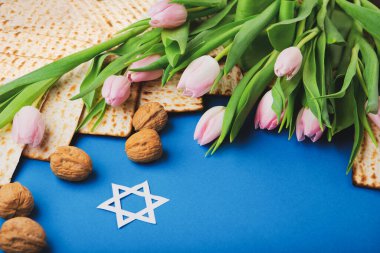 Jewish holiday Passover greeting card concept with matzah, nuts, tulip flowers on blue table Seder Pesach spring holiday background, top view, copy space.