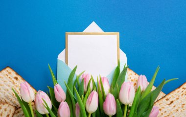 Jewish holiday Passover greeting card concept with matzah, nuts, tulip flowers on blue table Seder Pesach spring holiday background, top view, copy space.