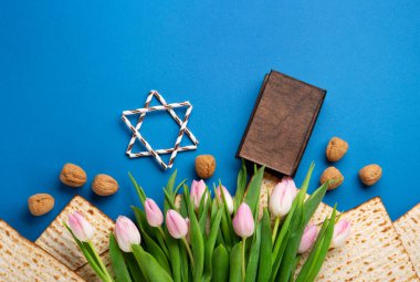 Jewish holiday Passover greeting card concept with matzah, nuts, tulip flowers on blue table Seder Pesach spring holiday background, top view, copy space.