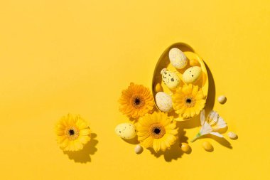 Festive holiday spring Easter card concept. Colorful sugar sprinkles, spring daisy flowers and sweet Easter eggs on paper yellow background. Flat lay, top view, copy space.