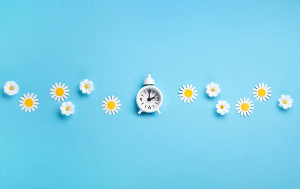 White alarm clock and Daisy Flowers on blue background. Spring forward, Time Change, Daylight Saving Time Ends, Changing the time on the watch to spring time, Summer back concept.