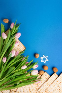 Yahudi bayramı tebrik kartı konsepti, matza, fındık, mavi masada lale çiçekleri. Seder Pesach bahar tatili arka planı, üst görünüm, kopyalama alanı.