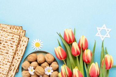 Yahudi bayramı tebrik kartı konsepti. Matza, fındık, lale ve papatya çiçekli mavi masa. Seder Pesach bahar tatili arka planı, üst görünüm, kopyalama alanı.