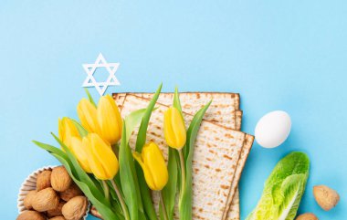 Yahudi bayramı tebrik kartı konsepti matza matzoh (Yahudi bayramı ekmeği), ceviz, mavi masada sarı lale çiçekleri. Seder Pesach bahar tatili arka planı, kopyalama alanı.