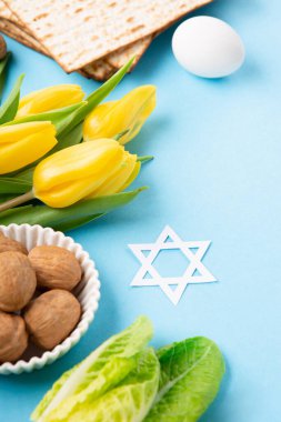 Yahudi bayramı tebrik kartı konsepti matza matzoh (Yahudi bayramı ekmeği), ceviz, mavi masada sarı lale çiçekleri. Seder Pesach bahar tatili arka planı, kopyalama alanı.