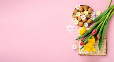 Jewish holiday Passover greeting card concept with matzah, Star of David, spring yellow daffodil, tulips, daisy flowers, walnuts on pink table. Seder Pesach spring holiday background, copy space.