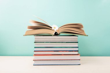 Dünya kitabı ve telif hakkı günü, eğitim konsepti. Kitap yığını, Açık Kitap ve mavi nane arkaplanlı Daisy Flower. Kitaplar için bayram kartı, kopyalama alanı.