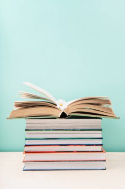 Dünya kitabı ve telif hakkı günü, eğitim konsepti. Kitap yığını, Açık Kitap ve mavi nane arkaplanlı Daisy Flower. Kitaplar için bayram kartı, kopyalama alanı.