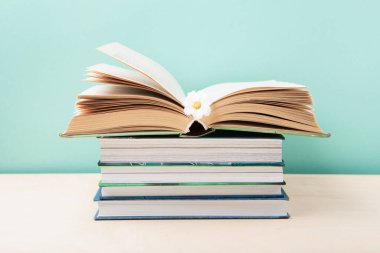 Dünya kitabı ve telif hakkı günü, eğitim konsepti. Kitap yığını, Açık Kitap ve mavi nane arkaplanlı Daisy Flower. Kitaplar için bayram kartı, kopyalama alanı.