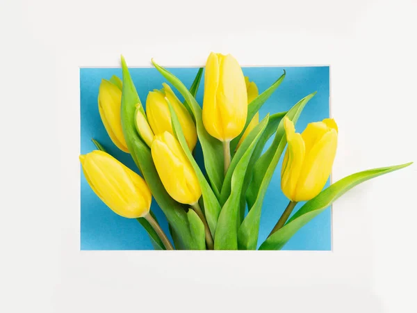 母の日 国際女性の日 バレンタインデーグリーティングカードの背景 青いテーブルの上に休日春の黄色のチューリップの花花束 トップビューのコピースペース — ストック写真