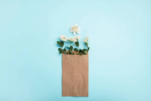 国際ビニール袋の自由な日の概念 持続可能で生態系のライフスタイル プラスチックに言うな 緑に行け 自然を守れ 再利用可能とリサイクル紙 繊維綿の袋 青の背景にメッシュバッグ — ストック写真