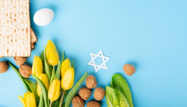 Yahudi bayramı tebrik kartı konsepti matza matzoh (Yahudi bayramı ekmeği), ceviz, mavi masada sarı lale çiçekleri. Seder Pesach bahar tatili arka planı, kopyalama alanı.